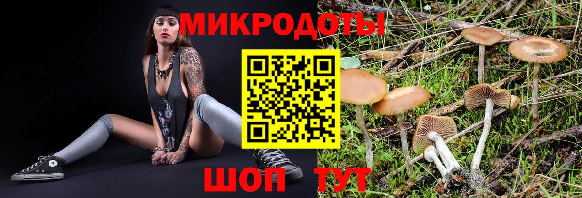 Галлюциногенные грибы ЛСД Кандалакша