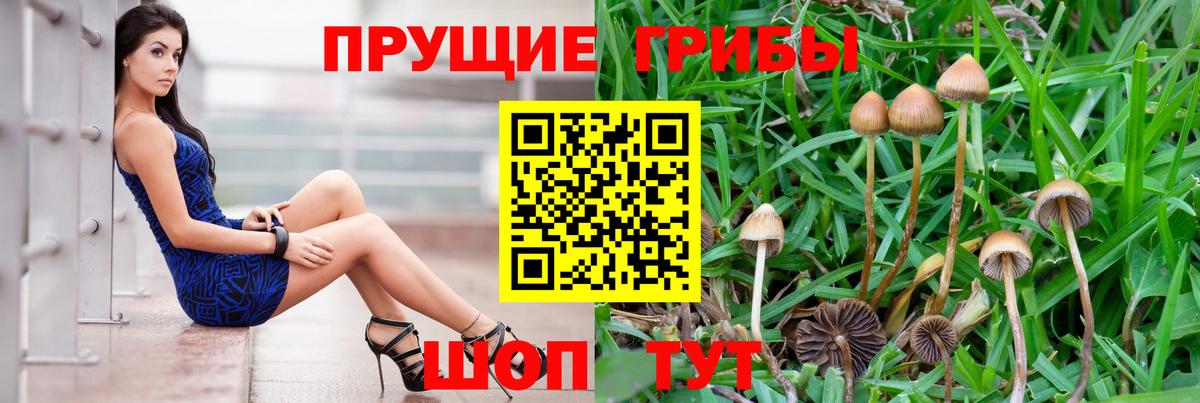 Кандалакша  Псилоцибиновые грибы ЛСД  Галлюциногенные грибы мухоморы  Вход с VPN 